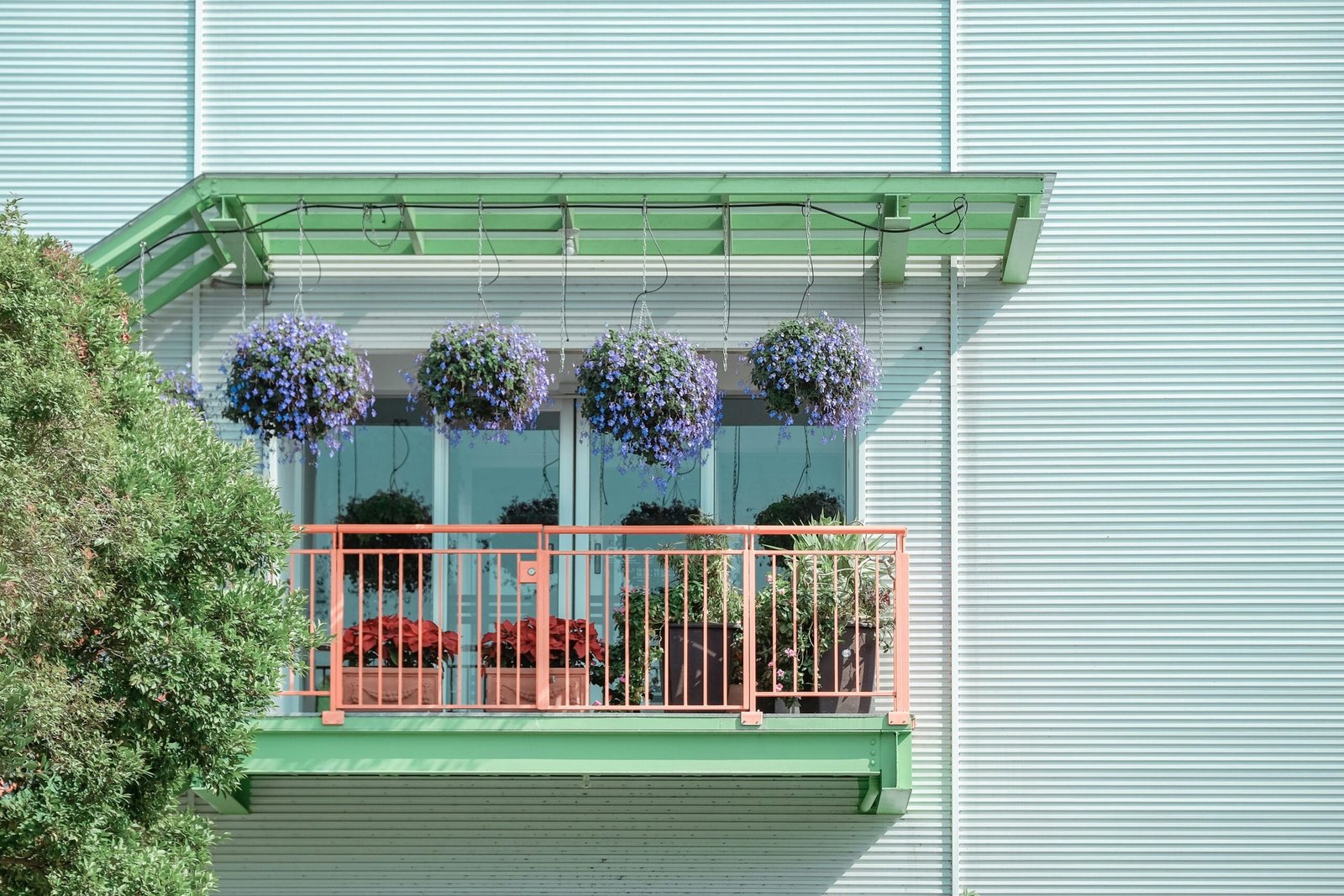 A vibrant balcony adorned with hanging purple flowers and potted plants, adding charm to a modern facade.