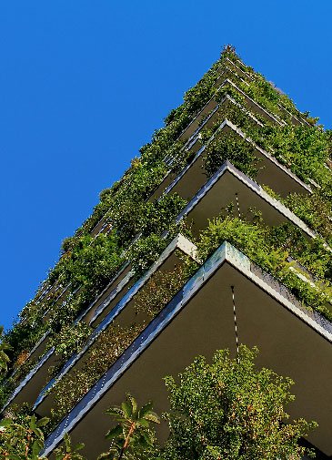 ricardo gomez angel wseaivwgrwo unsplash (vertical)